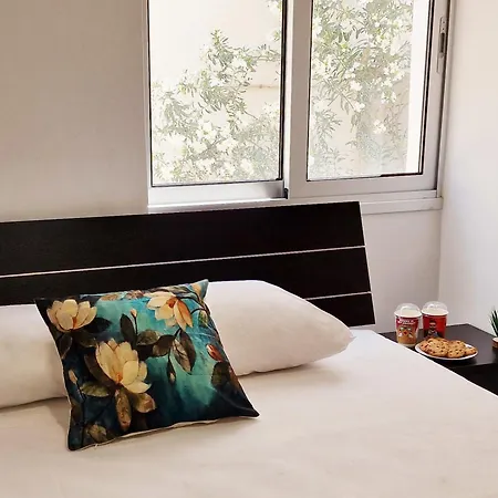 Parrots Paradise 100m From Finikoudes Beachfront