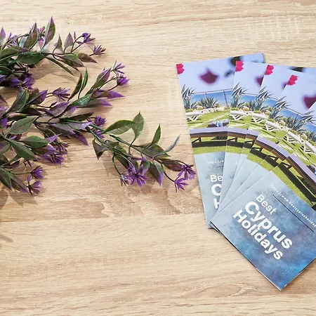 Διαμέρισμα Parrots Paradise 100m From Finikoudes Beachfront Λάρνακα